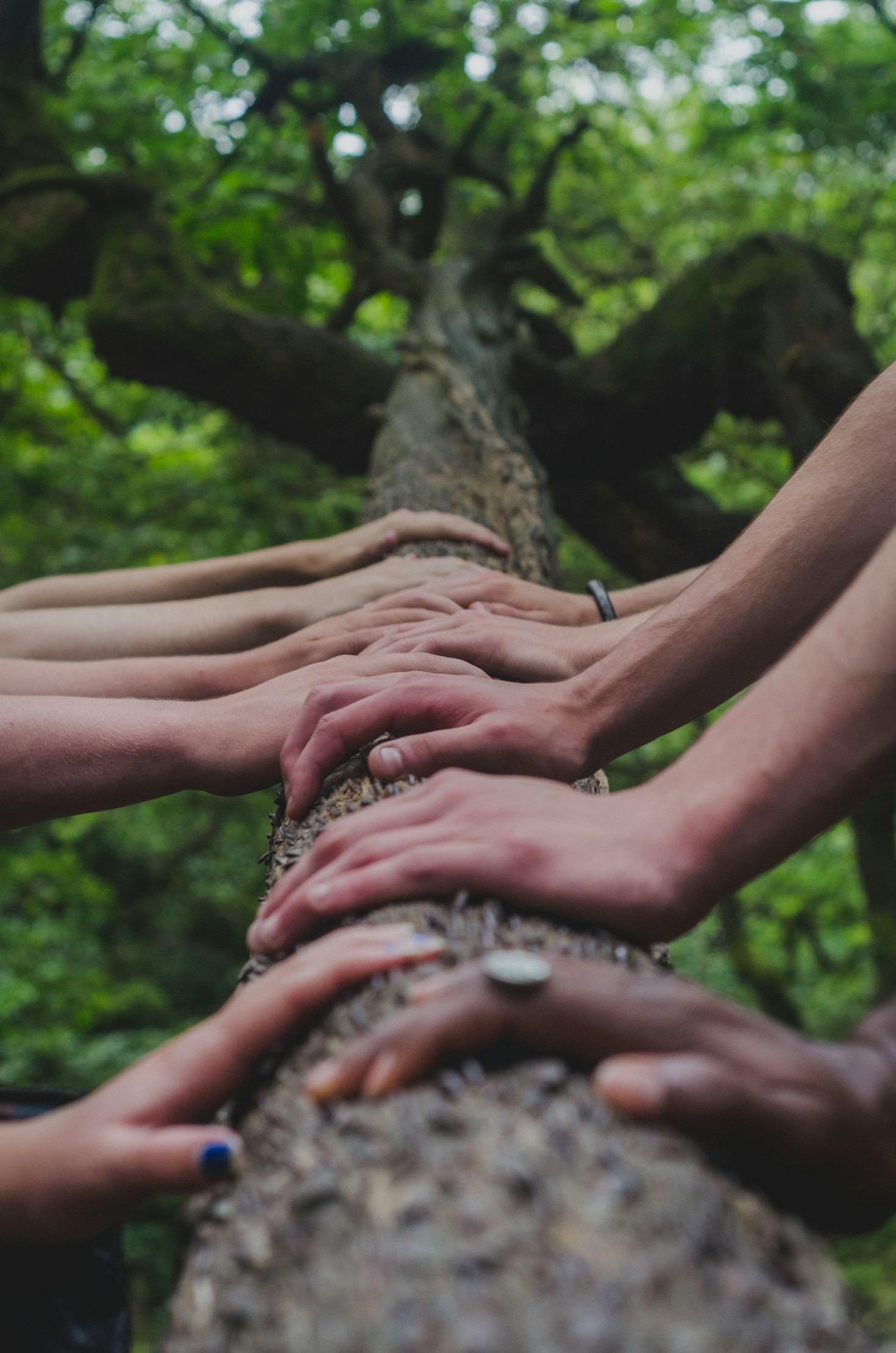 Top 5 Ways Fam10 Improves Family Communication